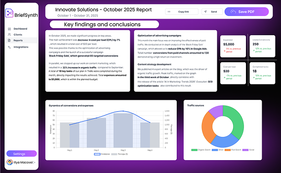 A screenshot of the BriefSynth-AI interface showing a generated report